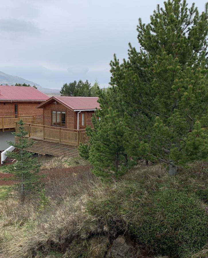 Cosy Cottage-Golden Circle Kerhraun Екстериор снимка